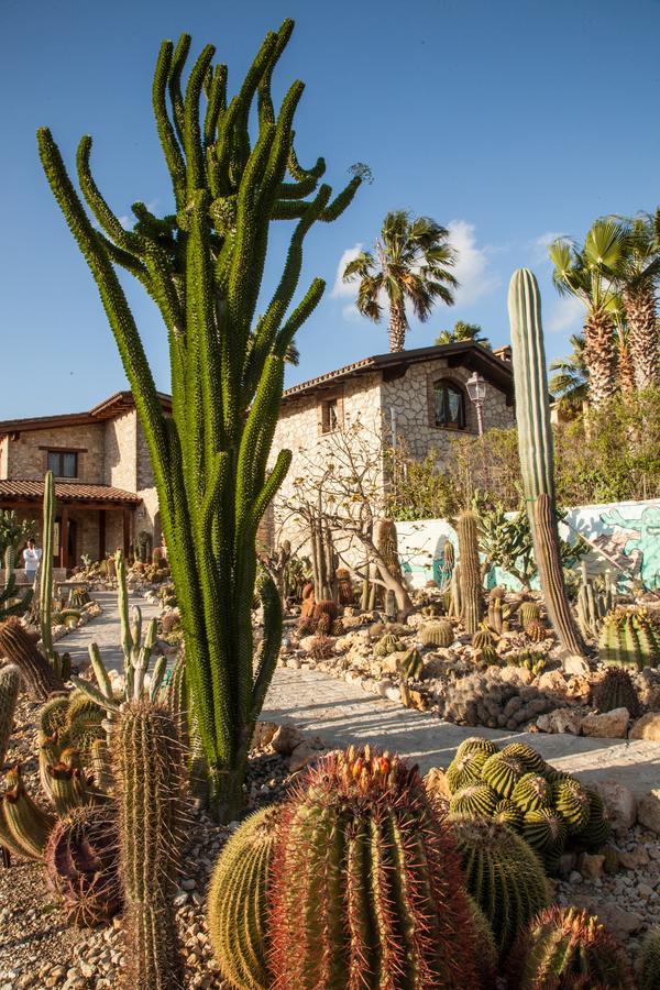 Gasthaus Garden Cactus Villaggio Mosè Exterior foto